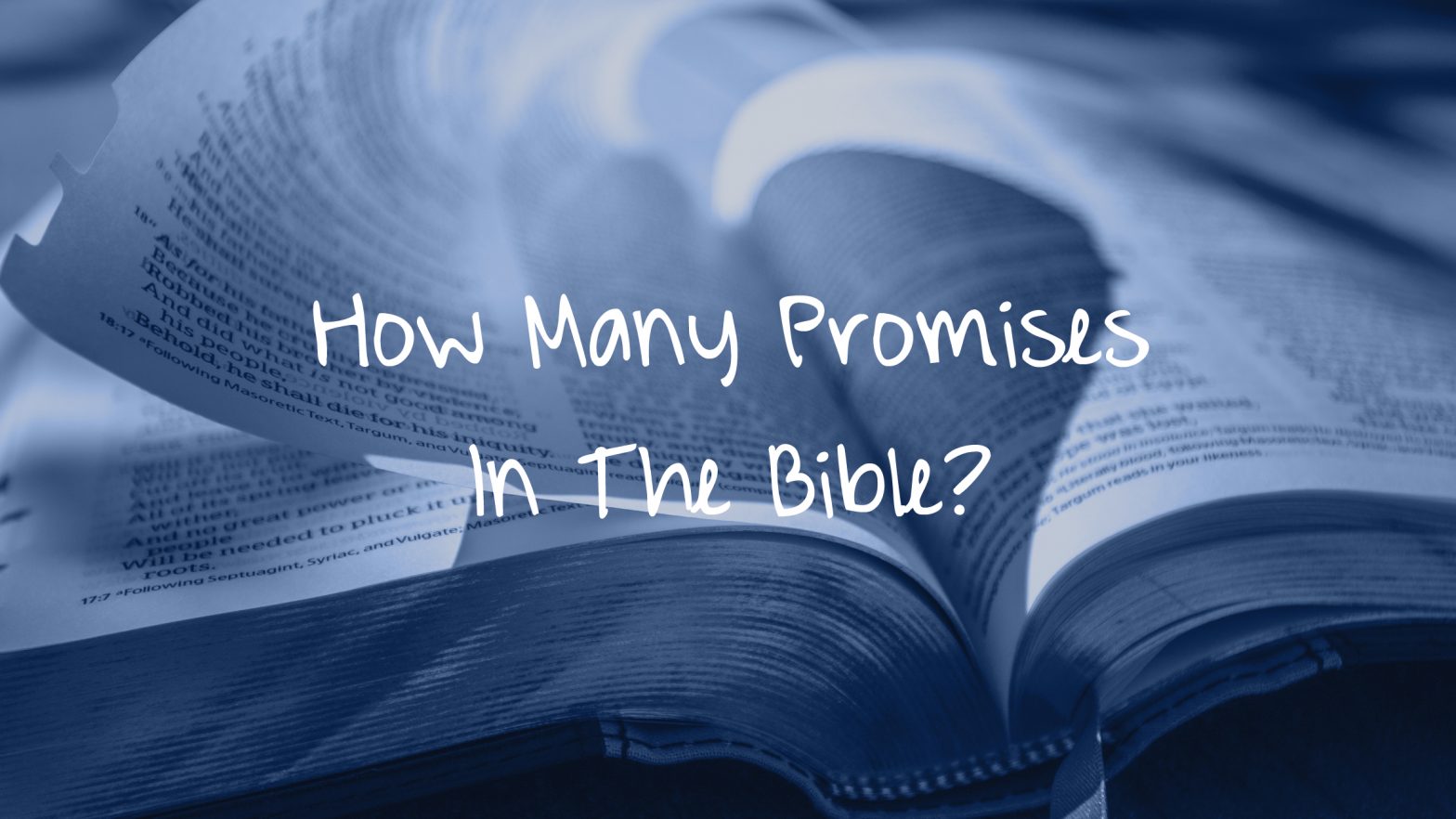 How Many Promises In The Bible?