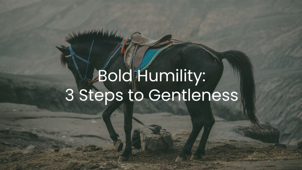 Bold Humility