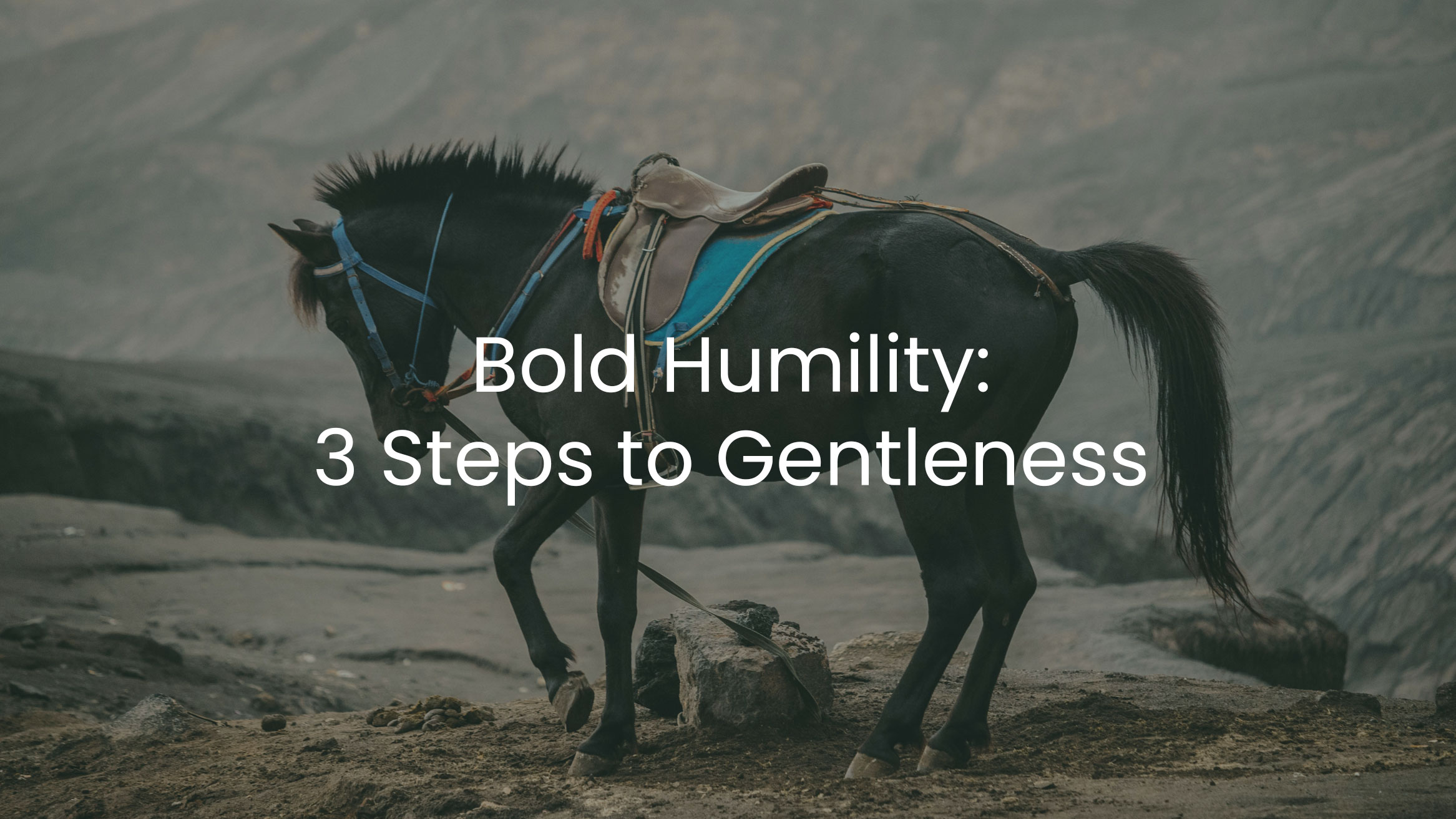 Bold Humility
